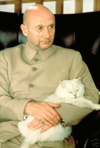 Blofeld spectre ring  SPECTRE is the organization created by Blofeld, Bond's archienemy.