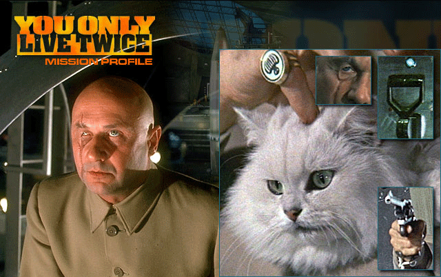 Blofeld's Cat from James Bond films  From Russia With Love, Thunderball, 